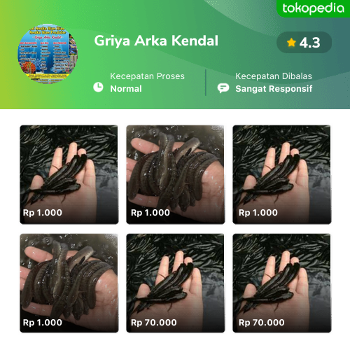 Toko Griya Arka Kendal Online Produk Lengkap Harga Terbaik Tokopedia