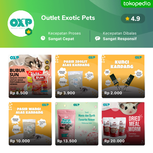 Toko Outlet Exotic Pets Online Produk Lengkap Harga Terbaik Tokopedia