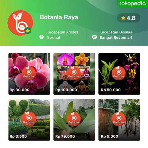 Toko Botania Raya Online Produk Lengkap Harga Terbaik Tokopedia