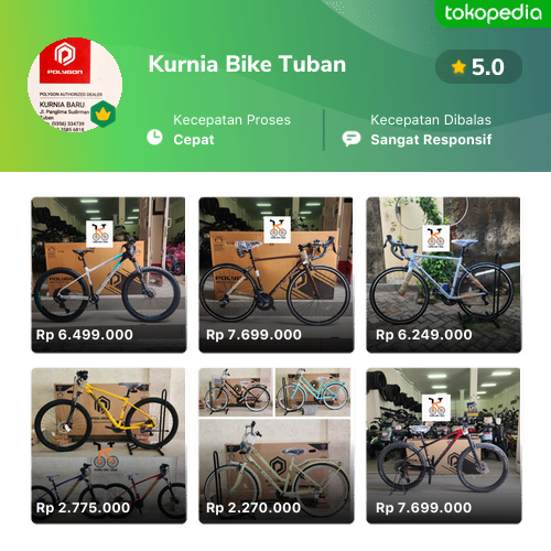 Kurnia bike best sale