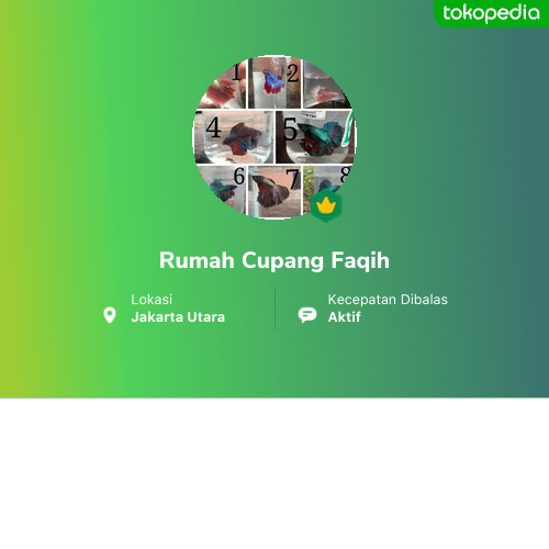 Rumah Cupang Faqih - Koja, Kota Administrasi Jakarta Utara ...